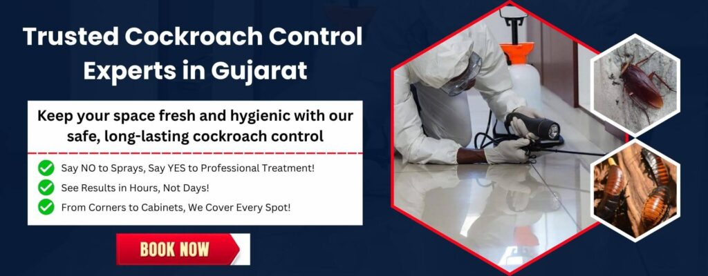 Cockroaches Control - Mahakali Pest Control