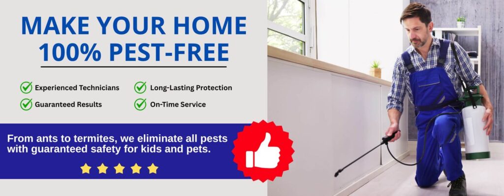 General Mahakali Pest Control Services