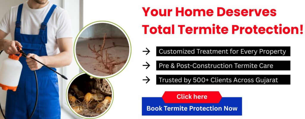 Termite Control - Mahakali Pest Control